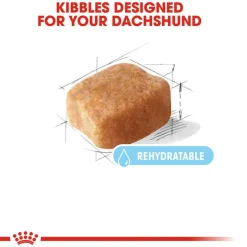 New Royal Canin Breed Health Nutrition Dachshund Adult 8+ Dry Dog Food