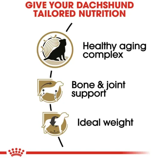 New Royal Canin Breed Health Nutrition Dachshund Adult 8+ Dry Dog Food