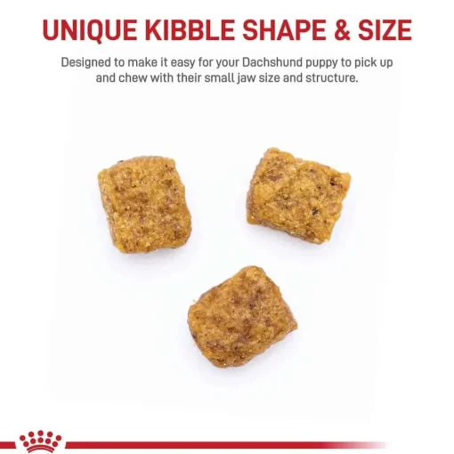 Online Royal Canin Breed Health Nutrition Dachshund Puppy Dry Dog Food
