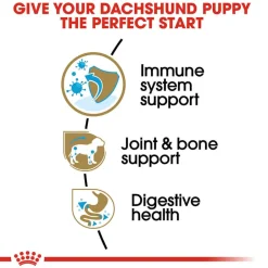 Online Royal Canin Breed Health Nutrition Dachshund Puppy Dry Dog Food