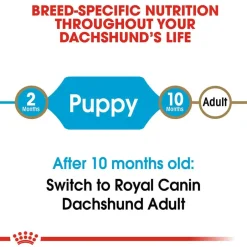 Online Royal Canin Breed Health Nutrition Dachshund Puppy Dry Dog Food