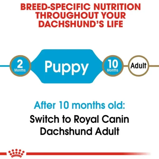 Online Royal Canin Breed Health Nutrition Dachshund Puppy Dry Dog Food