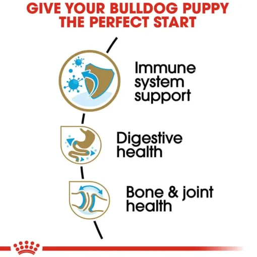 Hot Royal Canin Breed Health Nutrition Bulldog Puppy Dry Dog Food