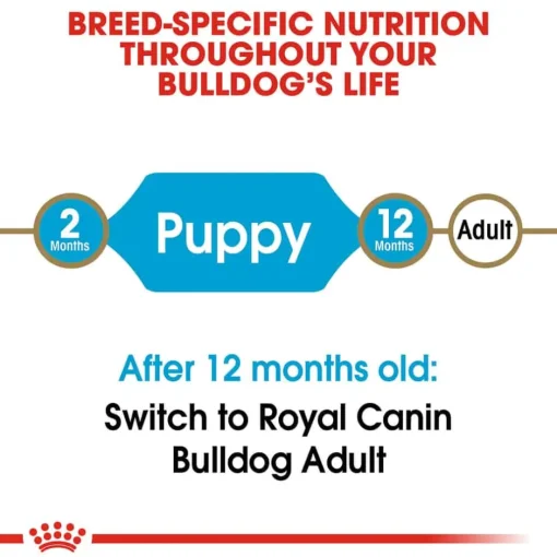 Hot Royal Canin Breed Health Nutrition Bulldog Puppy Dry Dog Food