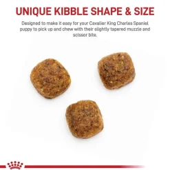 Hot Royal Canin Breed Health Nutrition Cavalier King Charles Spaniel Puppy Dry Dog Food