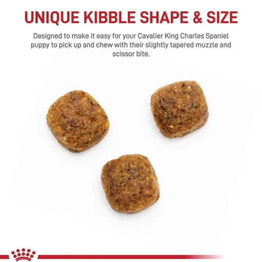 Hot Royal Canin Breed Health Nutrition Cavalier King Charles Spaniel Puppy Dry Dog Food