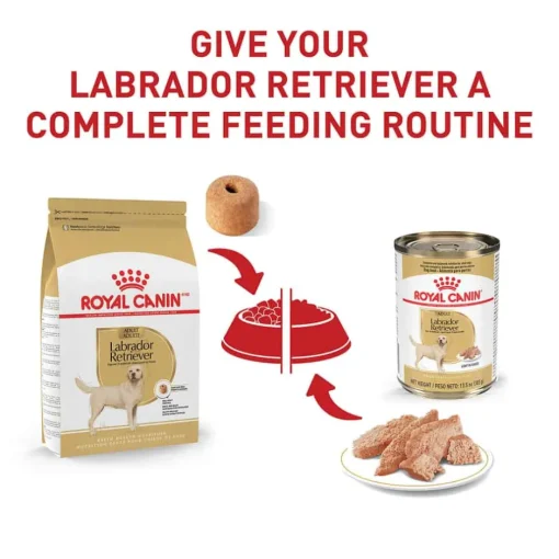 Hot Royal Canin Breed Health Nutrition Labrador Retriever Adult Loaf in Sauce Wet Dog Food