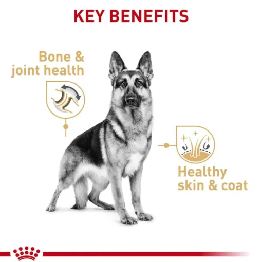Outlet Royal Canin Breed Health Nutrition German Shepherd Adult Loaf in Sauce Wet Dog Food