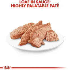 Clearance Royal Canin Breed Health Nutrition Yorkshire Terrier Adult Loaf in Sauce Wet Dog Food