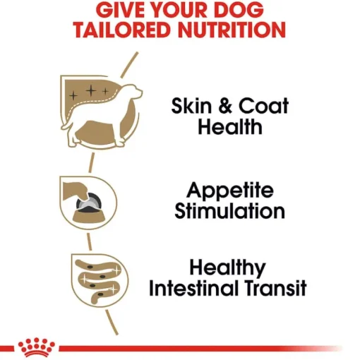 Clearance Royal Canin Breed Health Nutrition Yorkshire Terrier Adult Loaf in Sauce Wet Dog Food
