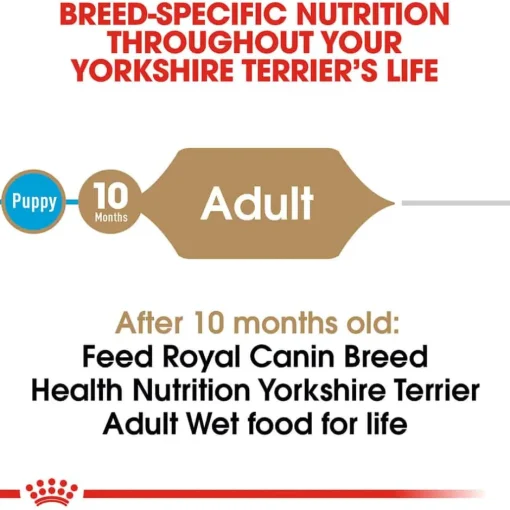 Clearance Royal Canin Breed Health Nutrition Yorkshire Terrier Adult Loaf in Sauce Wet Dog Food