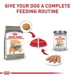 Online Royal Canin Canine Care Nutrition Medium Breed Sensitive Skin Care Adult Dry Dog Food