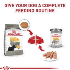 Hot Royal Canin Canine Care Nutrition Small Breed Sensitive Skin Care Adult Dry Dog Food