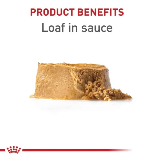 Discount Royal Canin Canine Health Nutrition Puppy Wet Dog Food