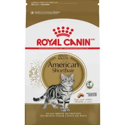 Sale Royal Canin Feline Breed Nutrition American Shorthair Adult Dry Cat Food