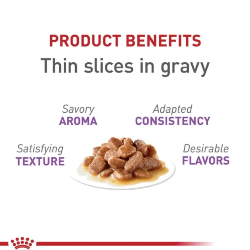 Online Royal Canin Feline Care Nutrition Appetite Control Care Thin Slices in Gravy Adult Wet Cat Food