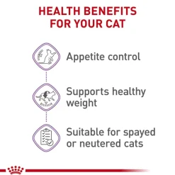 Online Royal Canin Feline Care Nutrition Appetite Control Care Thin Slices in Gravy Adult Wet Cat Food