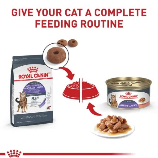Online Royal Canin Feline Care Nutrition Appetite Control Care Thin Slices in Gravy Adult Wet Cat Food
