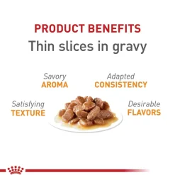 Discount Royal Canin Feline Care Nutrition Hair & Skin Care Thin Slices In Gravy Adult Wet Cat Food