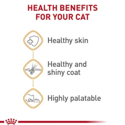 Discount Royal Canin Feline Care Nutrition Hair & Skin Care Thin Slices In Gravy Adult Wet Cat Food