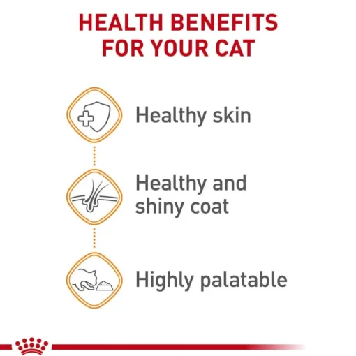 Discount Royal Canin Feline Care Nutrition Hair & Skin Care Thin Slices In Gravy Adult Wet Cat Food