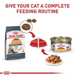 Discount Royal Canin Feline Care Nutrition Hair & Skin Care Thin Slices In Gravy Adult Wet Cat Food