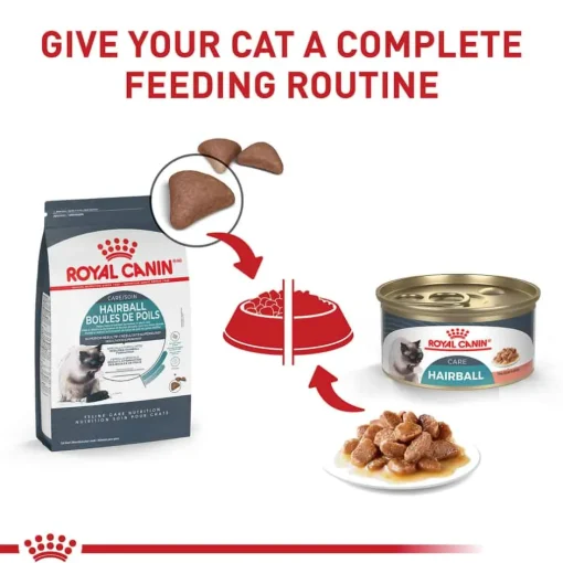 Online Royal Canin Feline Care Nutrition Hairball Care Thin Slices In Gravy Adult Wet Cat Food
