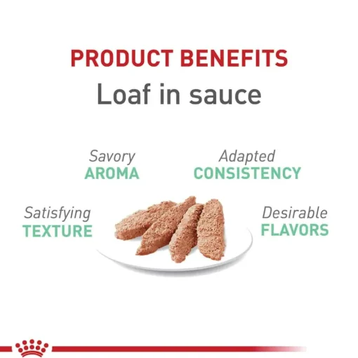 Clearance Royal Canin Feline Care Nutrition Digestive Care Loaf In Sauce Adult Wet Cat Food