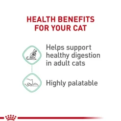 Clearance Royal Canin Feline Care Nutrition Digestive Care Loaf In Sauce Adult Wet Cat Food