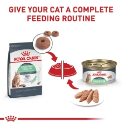 Clearance Royal Canin Feline Care Nutrition Digestive Care Loaf In Sauce Adult Wet Cat Food