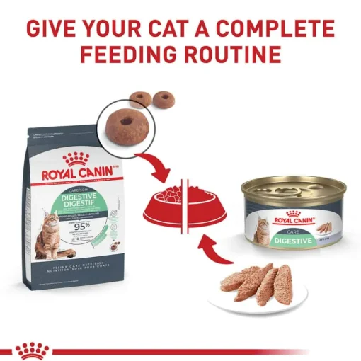 Clearance Royal Canin Feline Care Nutrition Digestive Care Loaf In Sauce Adult Wet Cat Food