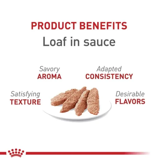Online Royal Canin Feline Health Nutrition Instinctive Loaf In Sauce Adult Wet Cat Food