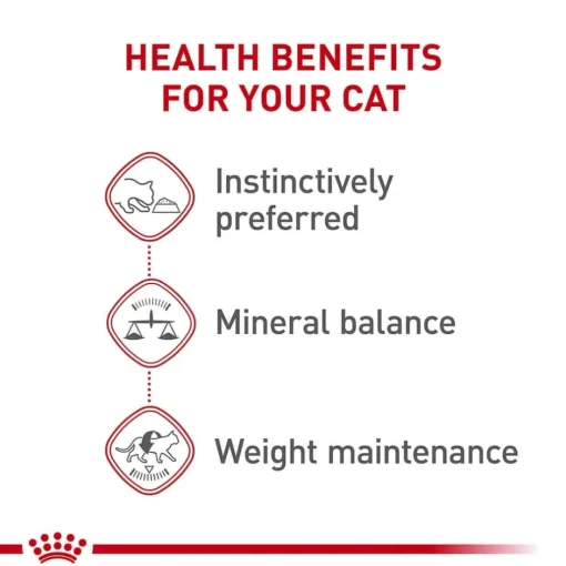 Online Royal Canin Feline Health Nutrition Instinctive Loaf In Sauce Adult Wet Cat Food