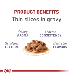 Online Royal Canin Feline Health Nutrition Spayed / Neutered Thin Slices in Gravy Adult Wet Cat Food