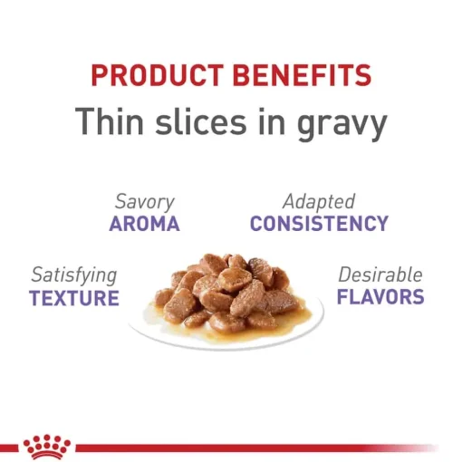 Online Royal Canin Feline Health Nutrition Spayed / Neutered Thin Slices in Gravy Adult Wet Cat Food