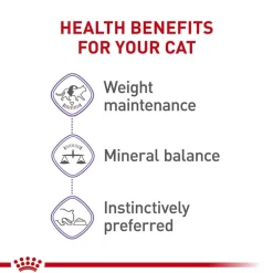 Online Royal Canin Feline Health Nutrition Spayed / Neutered Thin Slices in Gravy Adult Wet Cat Food