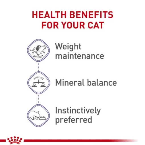 Online Royal Canin Feline Health Nutrition Spayed / Neutered Thin Slices in Gravy Adult Wet Cat Food