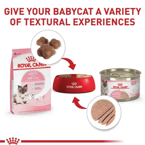 Clearance Royal Canin Feline Health Nutrition Mother & Babycat Dry Cat Food