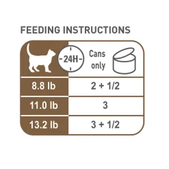 Clearance Royal Canin Feline Health Nutrition Aging 12+ Thin Slices In Gravy Wet Cat Food