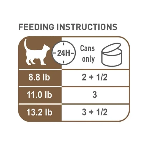 Clearance Royal Canin Feline Health Nutrition Aging 12+ Thin Slices In Gravy Wet Cat Food