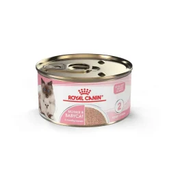 Online Royal Canin Feline Health Nutrition Mother & Babycat Ultra Soft Mousse in Sauce Wet Cat Food