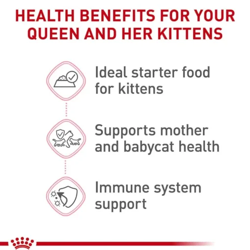 Online Royal Canin Feline Health Nutrition Mother & Babycat Ultra Soft Mousse in Sauce Wet Cat Food