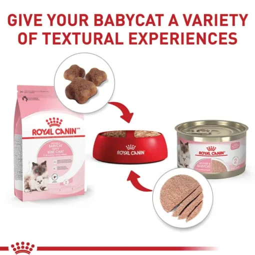 Online Royal Canin Feline Health Nutrition Mother & Babycat Ultra Soft Mousse in Sauce Wet Cat Food