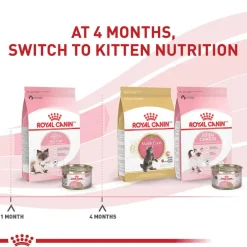 Online Royal Canin Feline Health Nutrition Mother & Babycat Ultra Soft Mousse in Sauce Wet Cat Food
