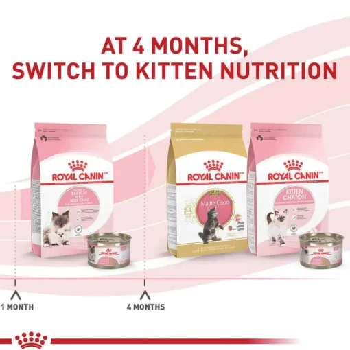 Online Royal Canin Feline Health Nutrition Mother & Babycat Ultra Soft Mousse in Sauce Wet Cat Food