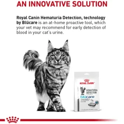 Outlet Royal Canin Veterinary Royal Canin Feline Hematuria Detection by Blücare