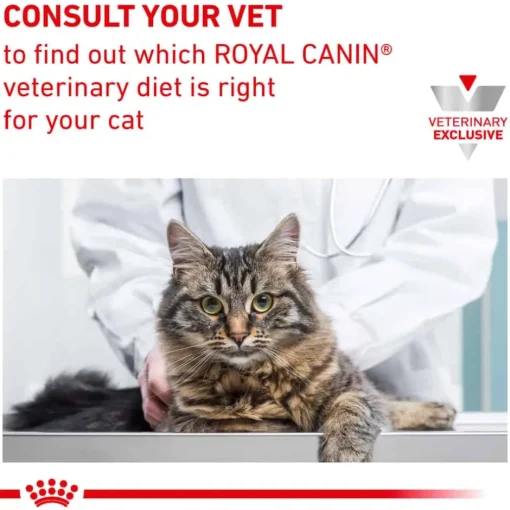 Outlet Royal Canin Veterinary Royal Canin Feline Hematuria Detection by Blücare