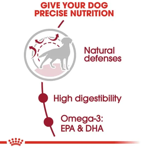 Hot Royal Canin Size Health Nutrition Medium Breed Adult Dry Dog Food