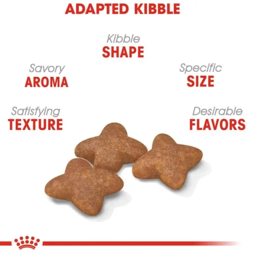 Outlet Royal Canin Size Health Nutrition Small Breed Adult Dry Dog Food