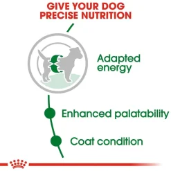 Outlet Royal Canin Size Health Nutrition Small Breed Adult Dry Dog Food